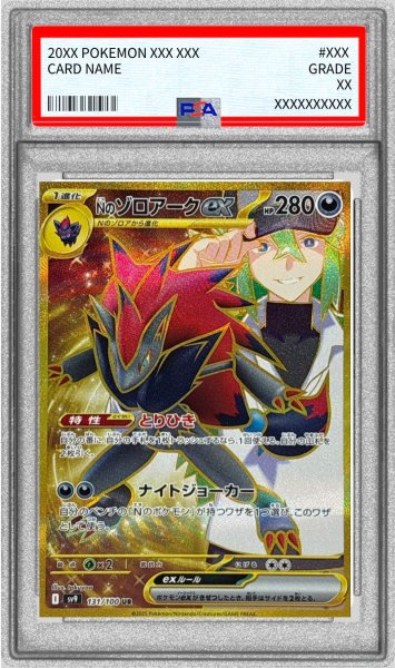 N's Zoroark ex UR